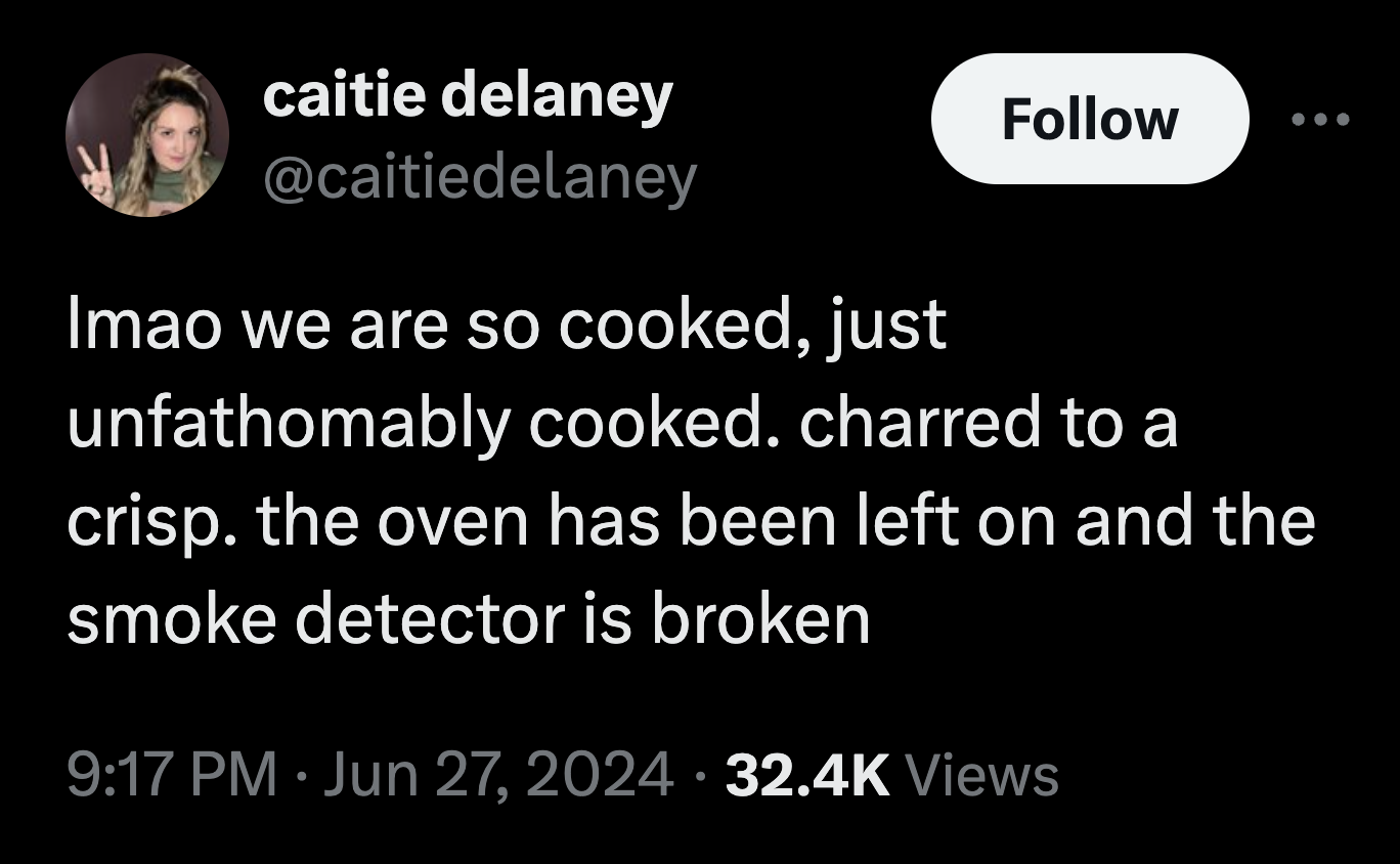 photo caption - caitie delaney Imao we are so cooked, just unfathomably cooked. charred to a crisp. the oven has been left on and the smoke detector is broken Views